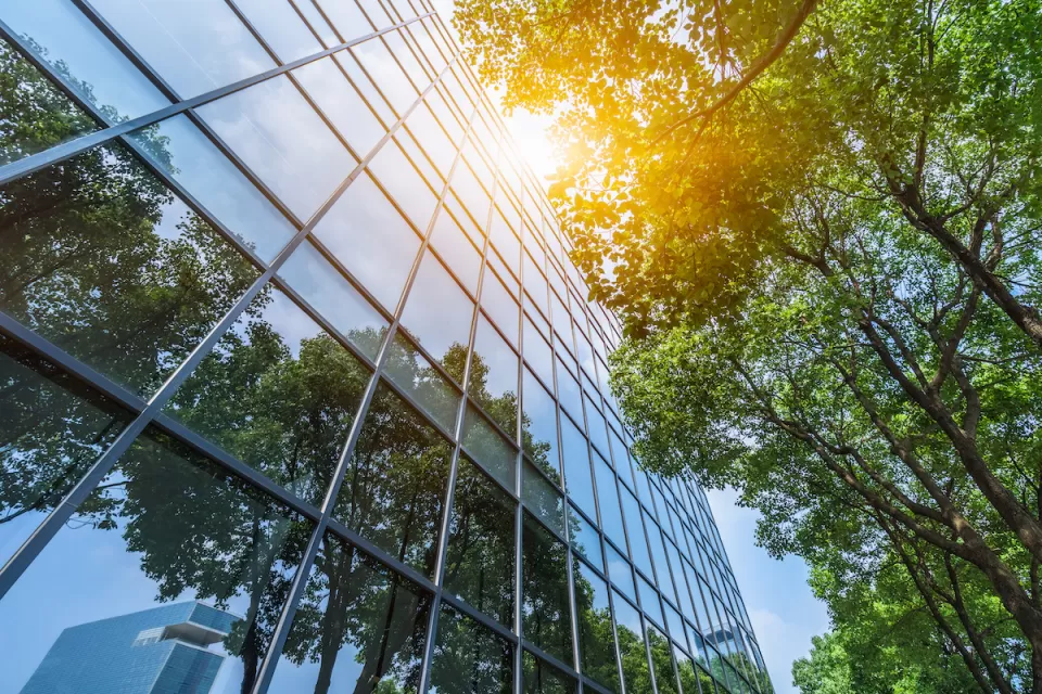 Looking up at a modern glass skyscraper with green tree next to it.
